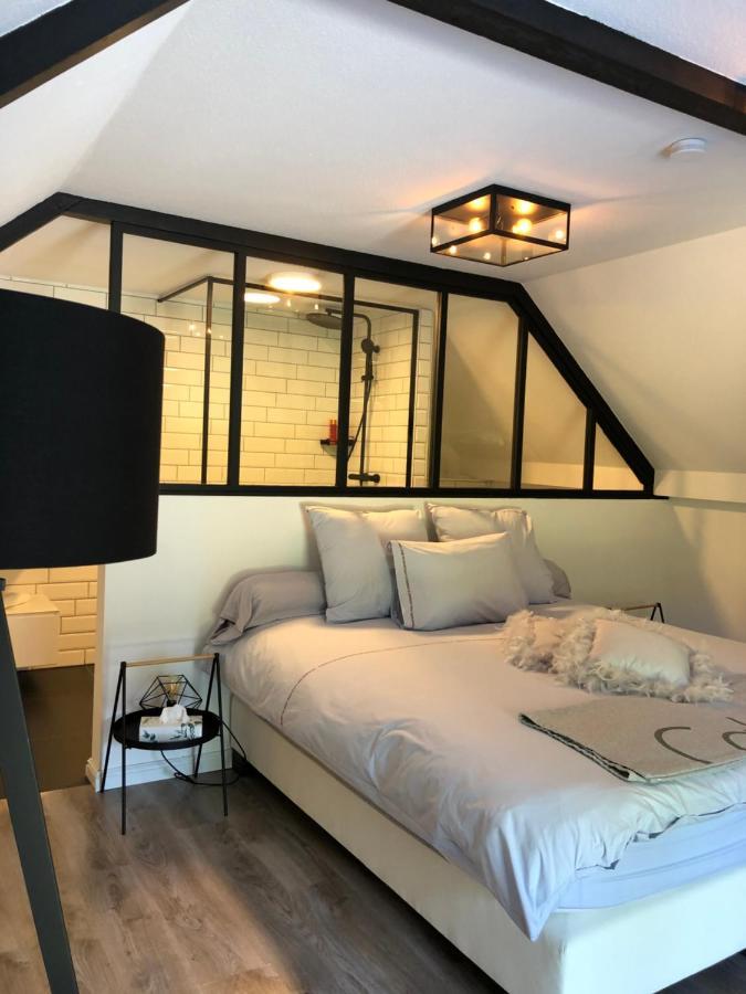 Jardin Du Marais Bed & Breakfast Froyennes Dış mekan fotoğraf